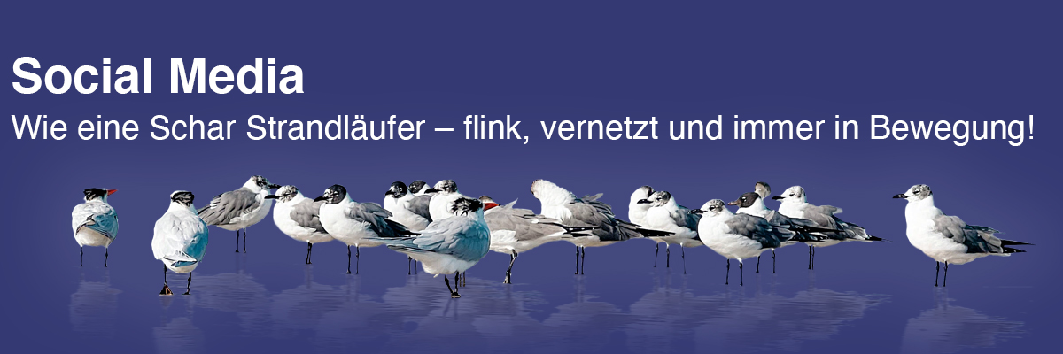 Webdesign und Foto